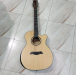 Guitar(deviser LS-570-40)